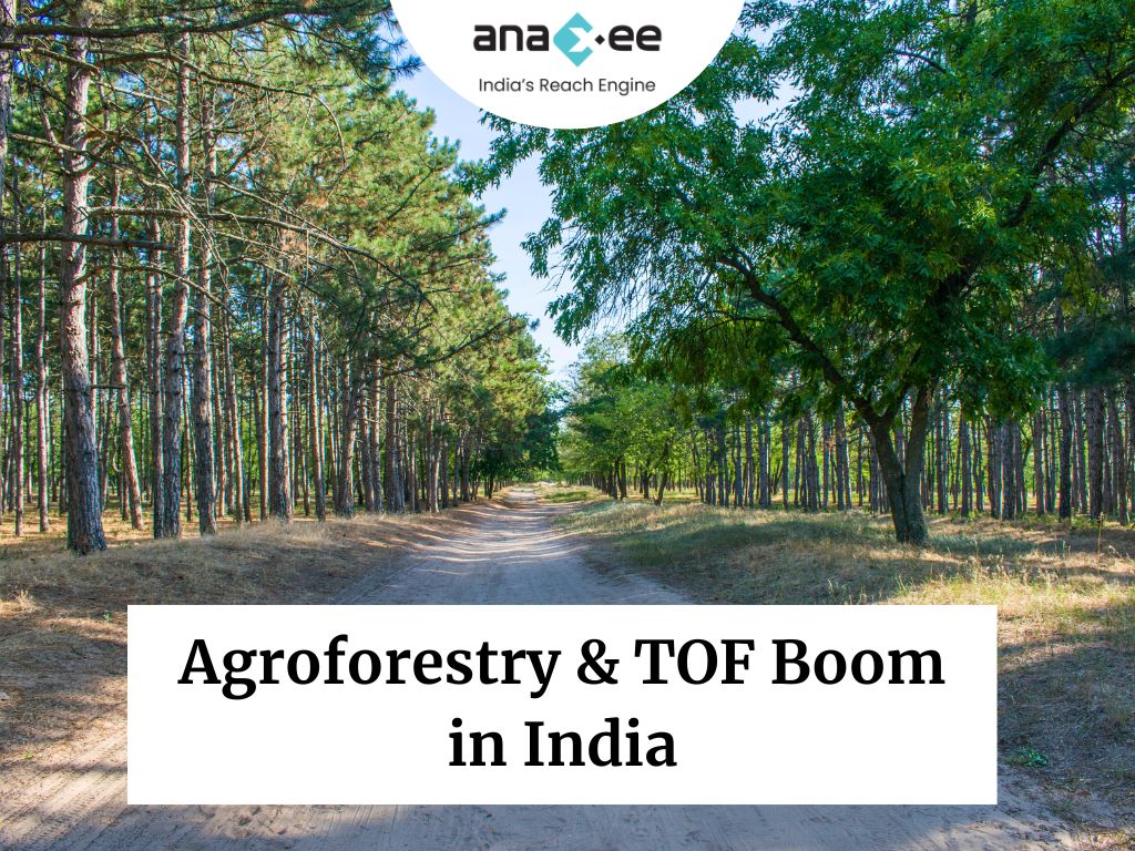 Agroforestry in India 2023: ISFR Insights & TOF Trends You Can’t Ignore