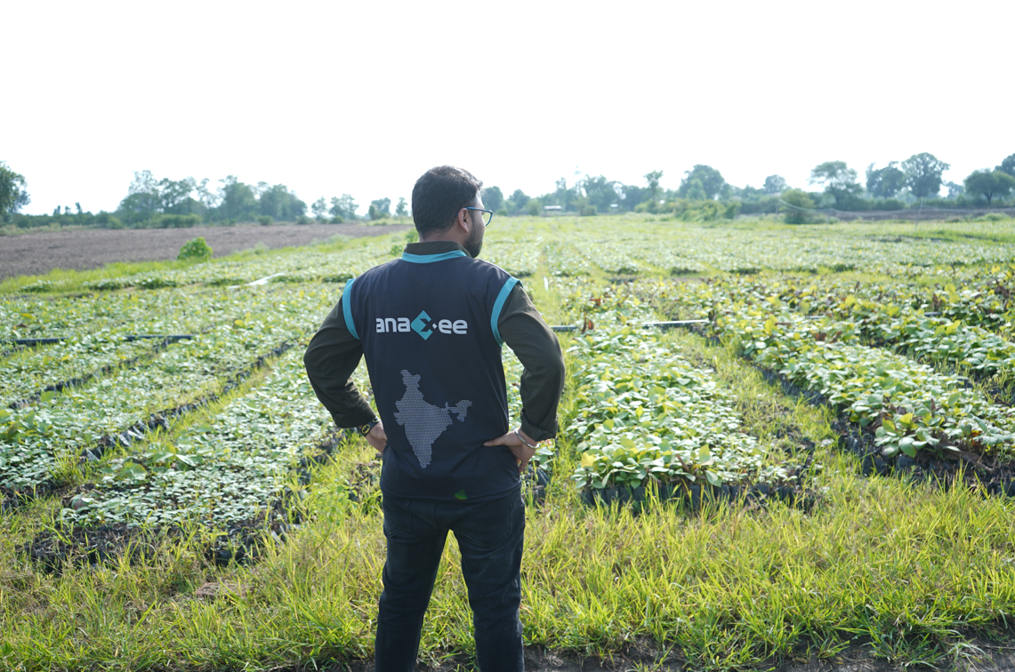 Anaxee Digital Runner inspecting sapling nursery for carbon-grade TOF plantation under private-sector afforestation project in India