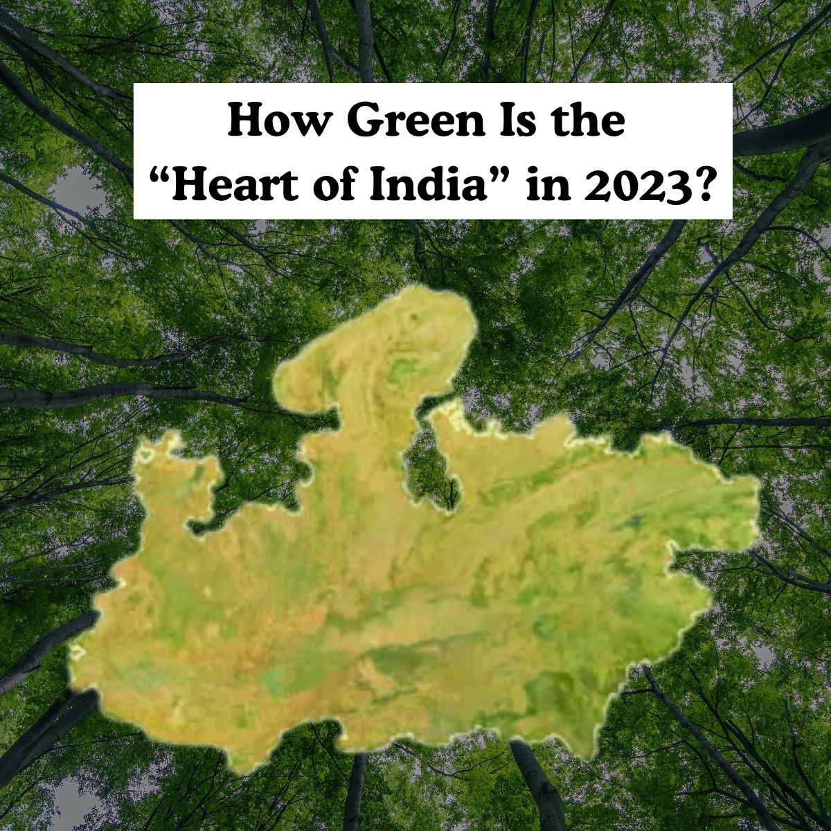 Madhya Pradesh Green Map