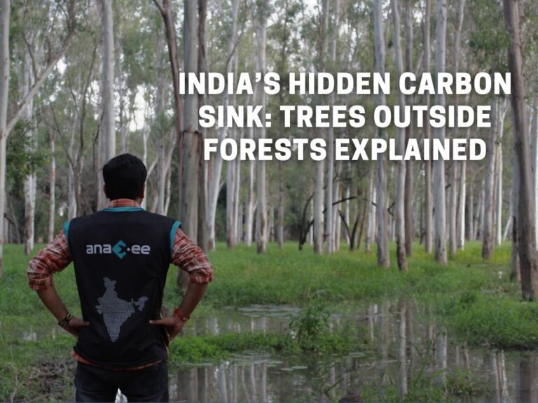 India’s Hidden Carbon Sink Trees Outside Forests Explained