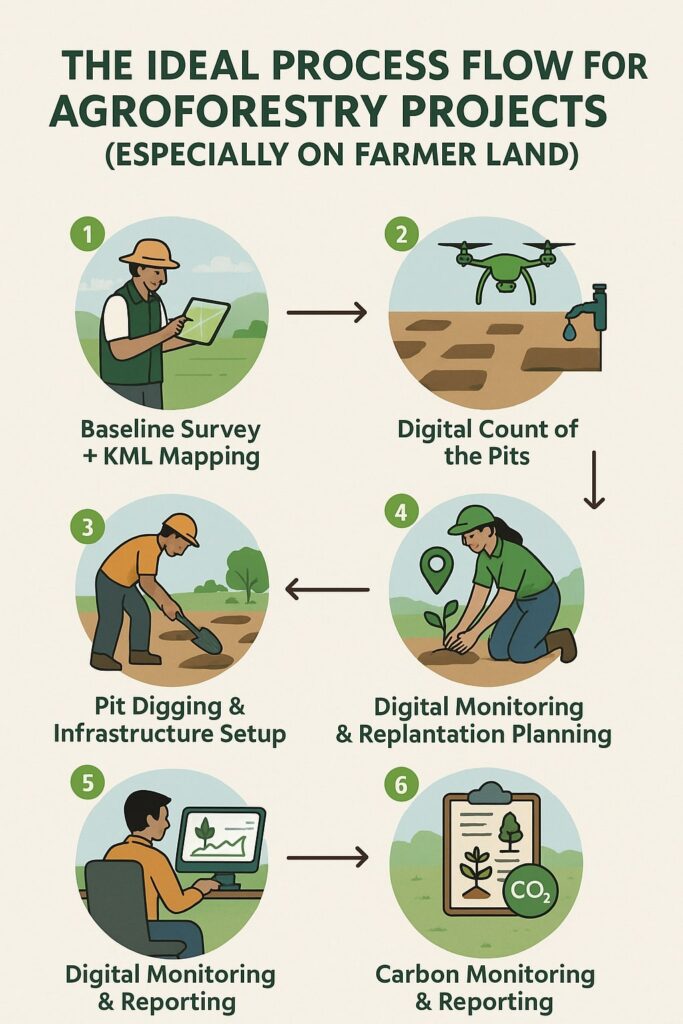 graphical representation of Agroforestry Project's  Step-by-Step Process 
