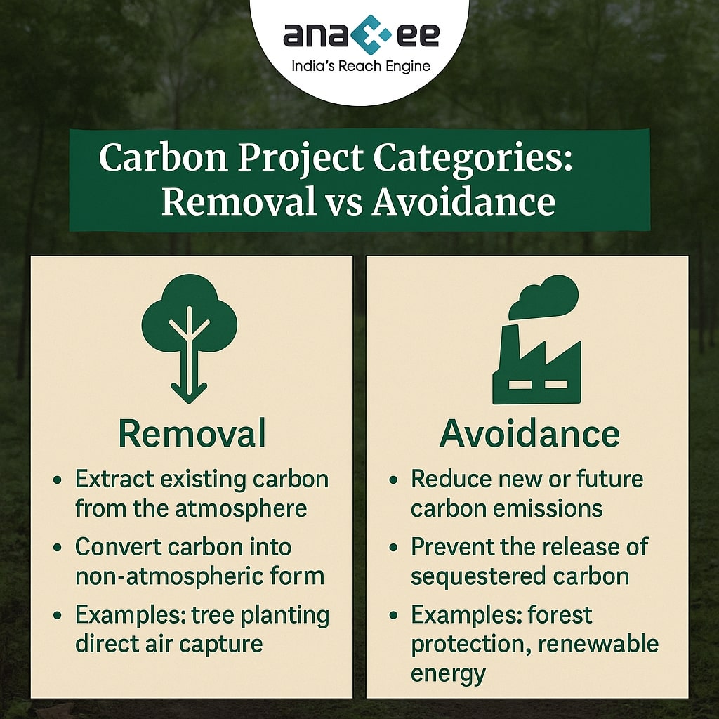 Infographic comparing carbon project categories — removal projects that extract existing carbon through methods like tree planting and direct air capture, and avoidance projects that reduce future emissions through forest protection and renewable energy.