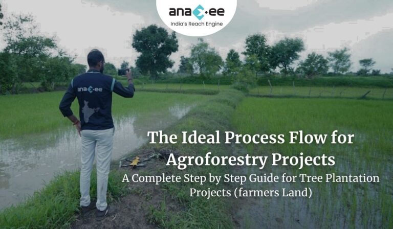 The Ideal Process Flow for Agroforestry Projects A Complete Step by Step Guide for Tree Plantation Projects (farmers Land)