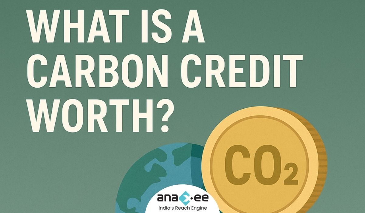 What Is a Carbon Credit Worth? A Deep Dive into Carbon Pricing in 2025