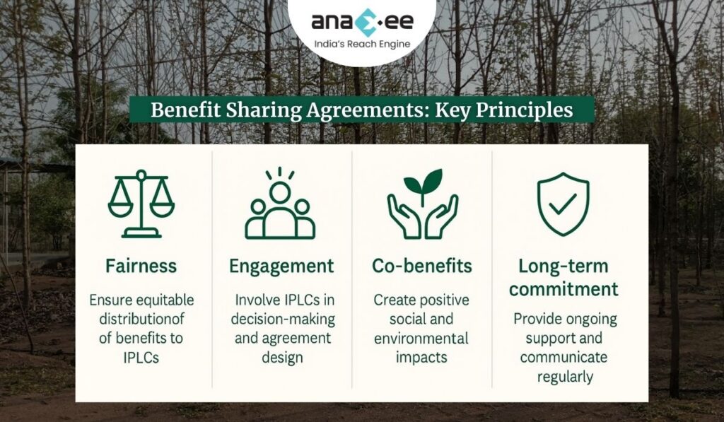 Infographic showing key principles of benefit sharing agreements in carbon projects — fairness, engagement, co-benefits, and long-term commitment for Indigenous Peoples and Local Communities (IPLCs).
