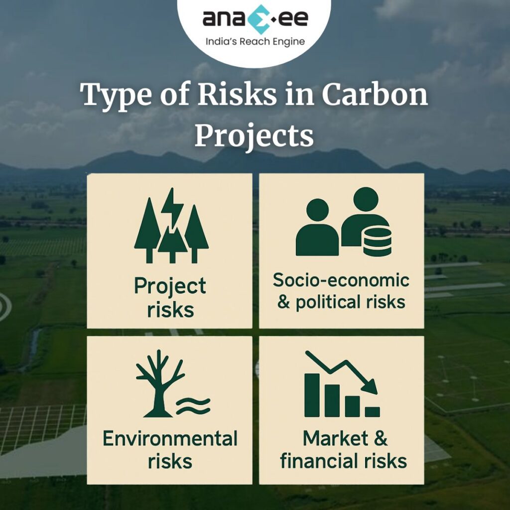 Visual summary of risk types in carbon projects: Project, Socio-economic & political, Environmental, and Market & financial risks, presented with relevant icons.