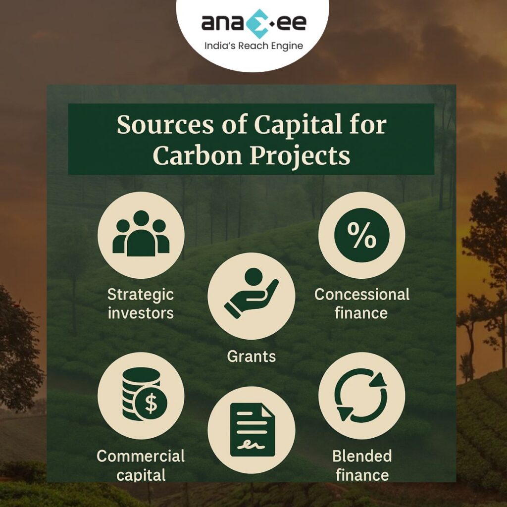 Infographic showing six main sources of capital for carbon projects: strategic investors, grants, concessional finance, commercial capital, offtake agreements, and blended finance.