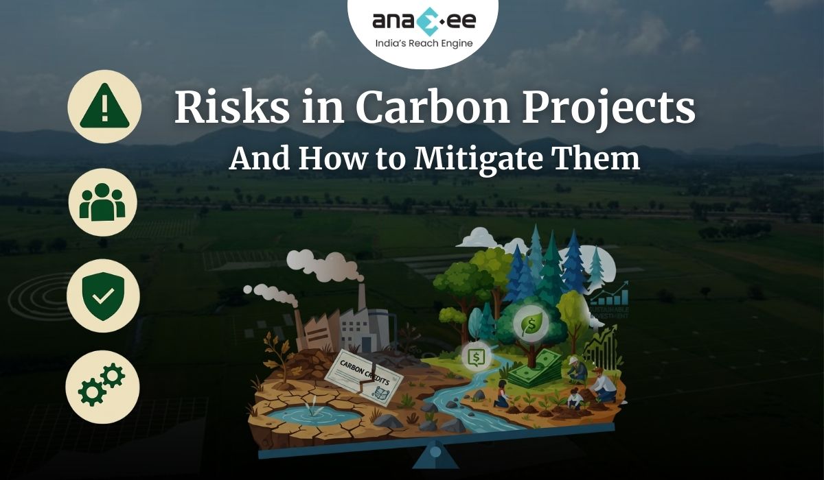 Risks in Carbon Projects and How to Mitigate Them